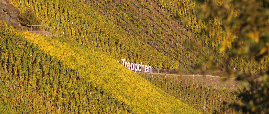 Weinbau6